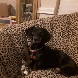 Meet your Posher, Gina